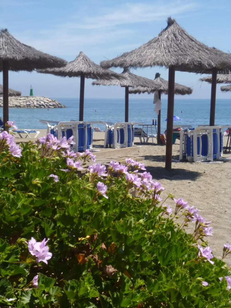 Marina Real apartemento 2105