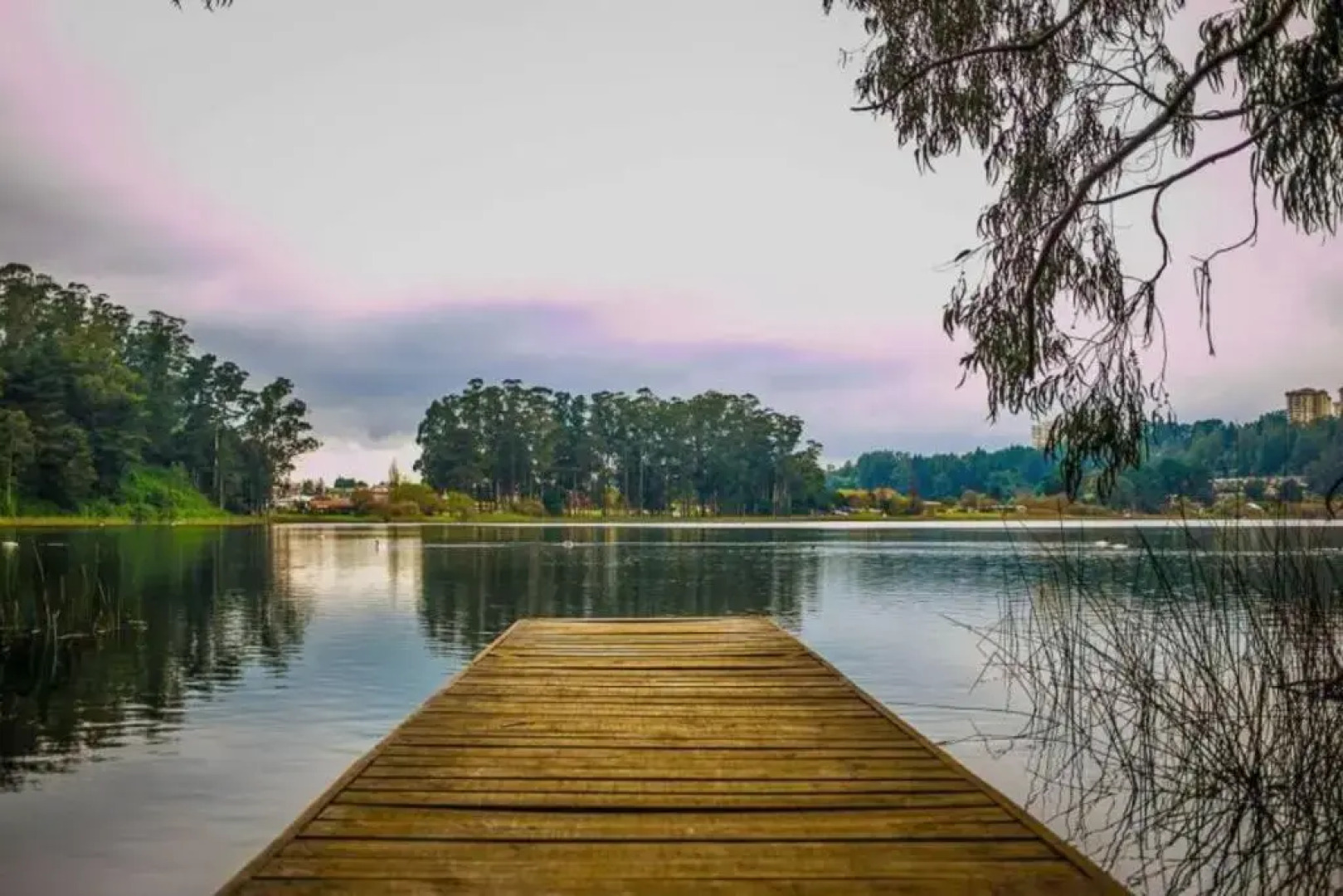 Luxury Apartment Chile, San Pedro de la Paz