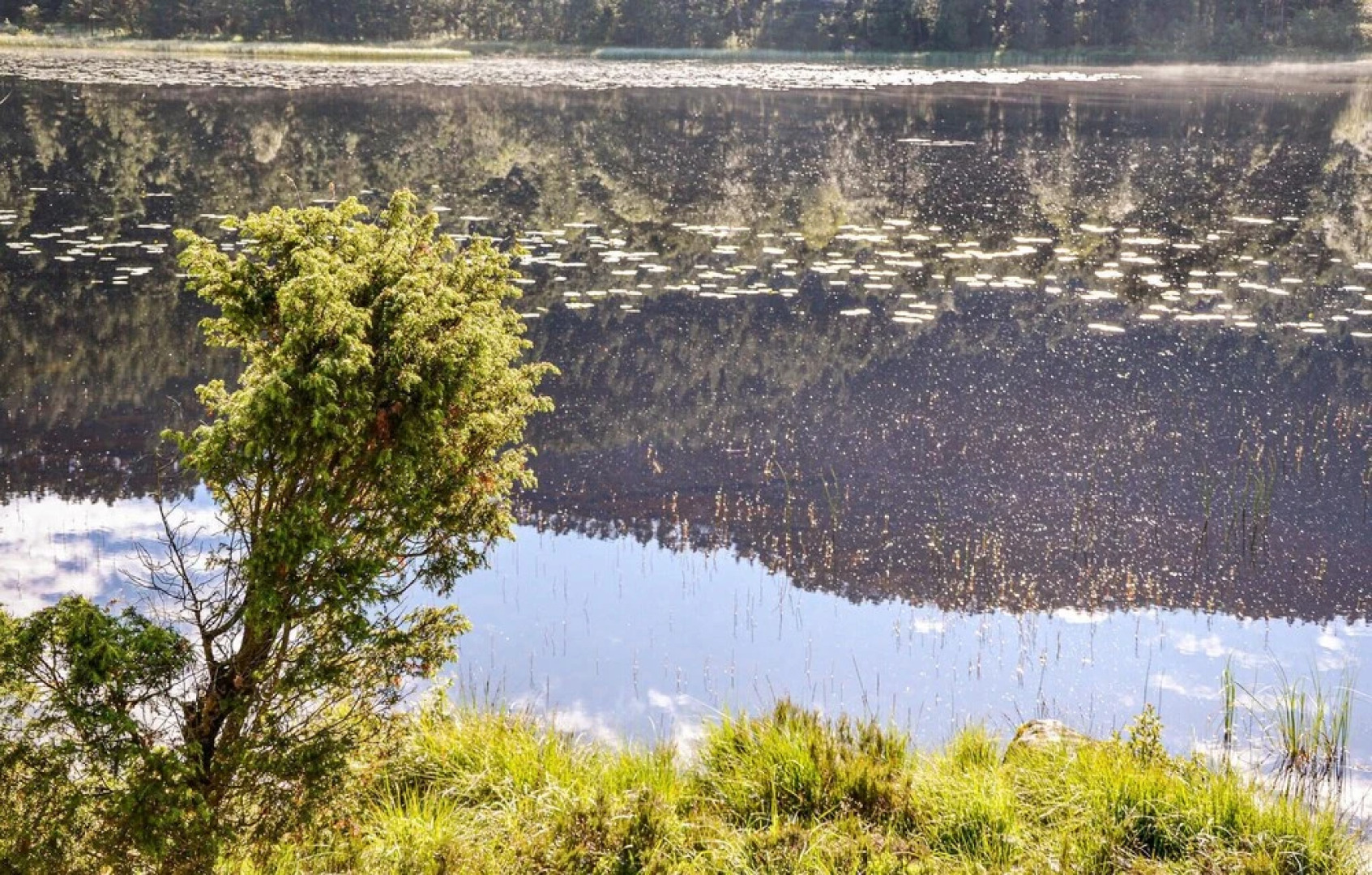 Nice Home in Bjoa With 3 Bedrooms and Wifi