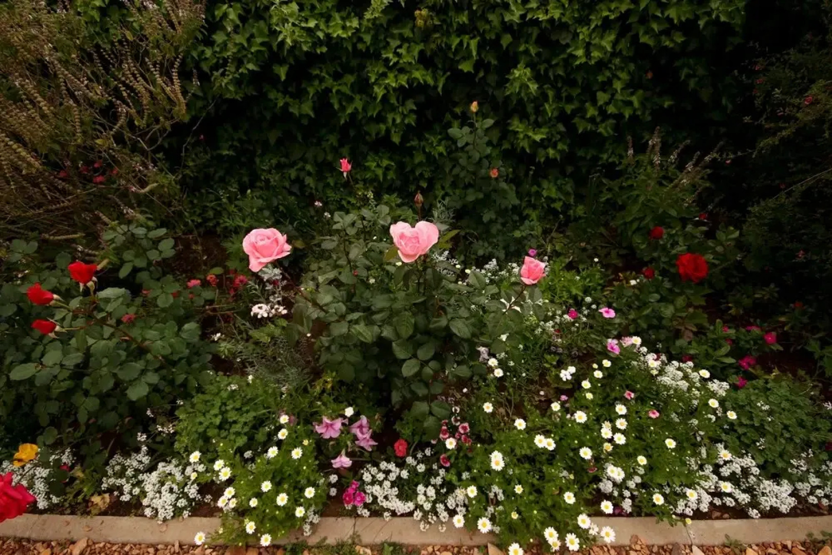 Nostalgia Self Catering Guest House