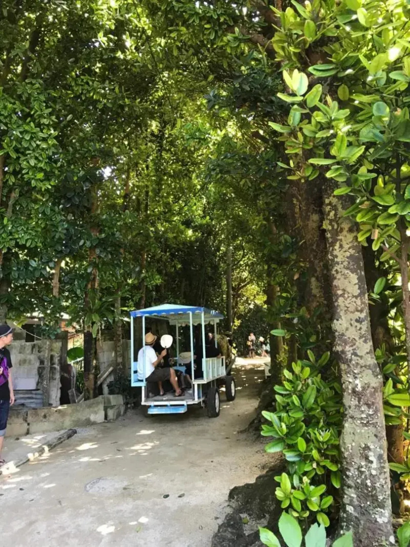 Hostel Mosura No Tamago