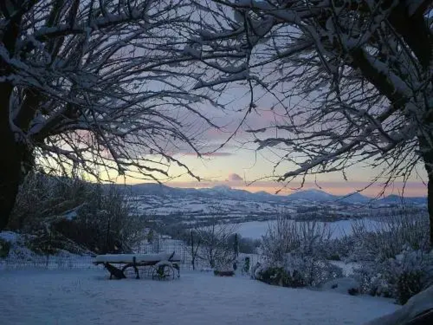 Anthoria B&B-Monolocale