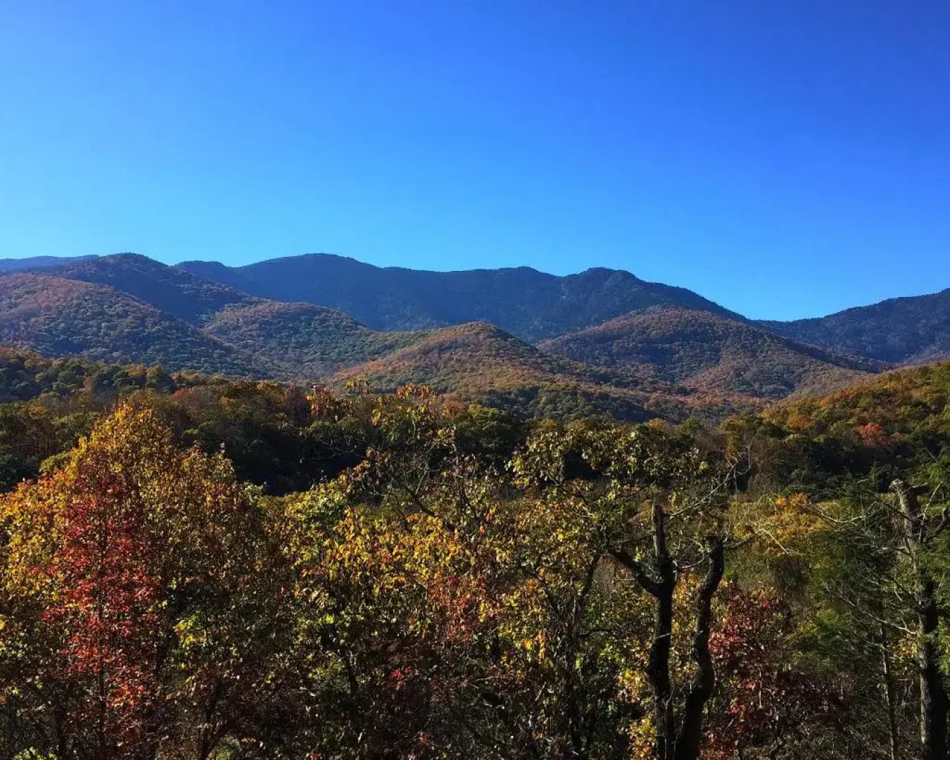 Albert's Lodge at Mt. Mitchell
