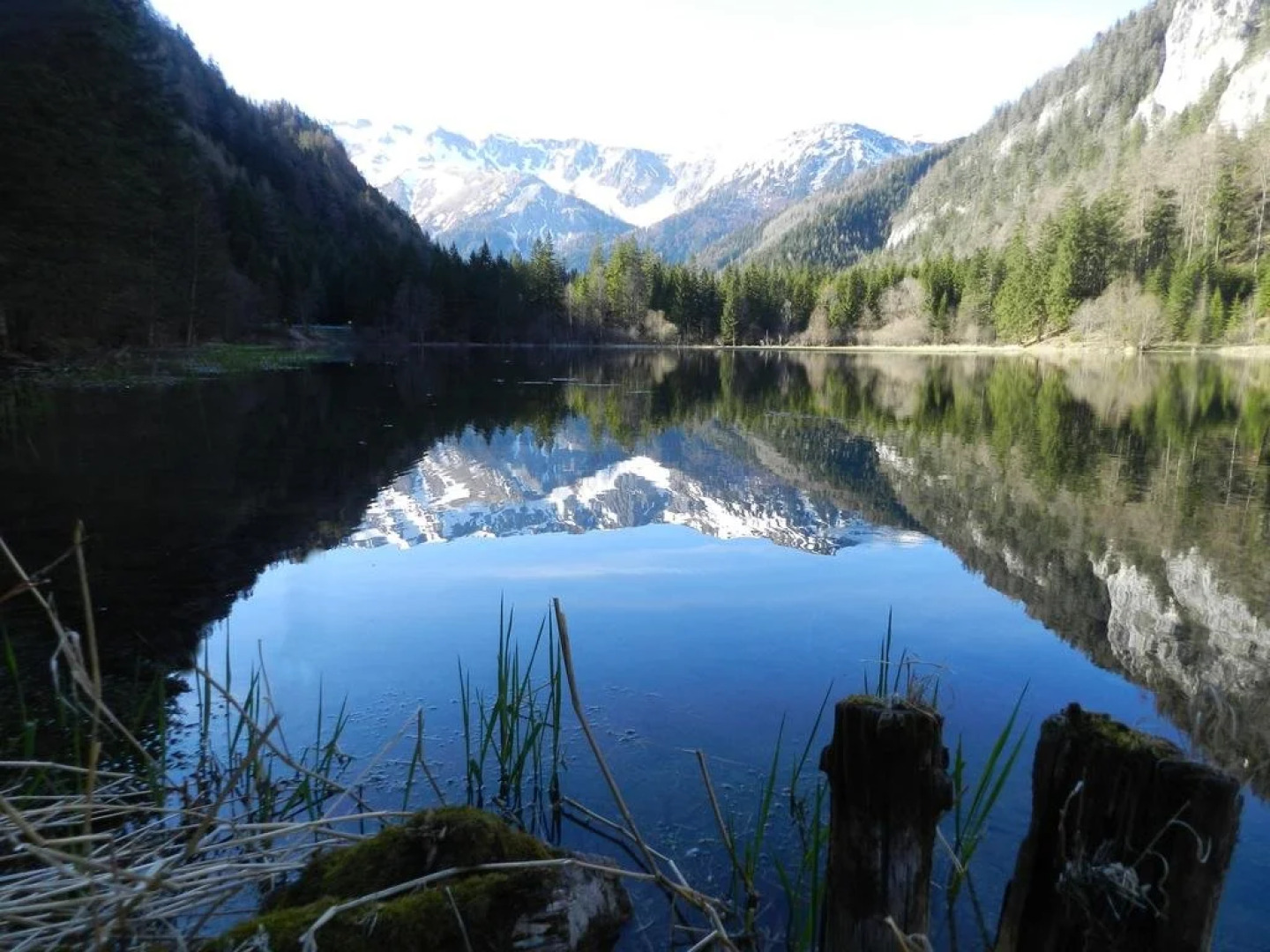 Alpengasthof Schuster