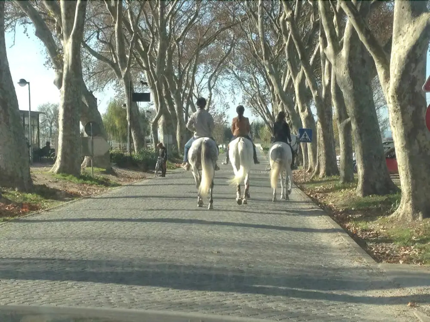 Casa do Largo - Golegã - Turismo de Habitação