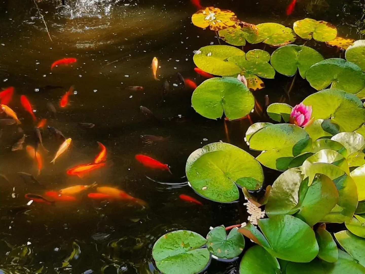 Ferienapartement Stuermer