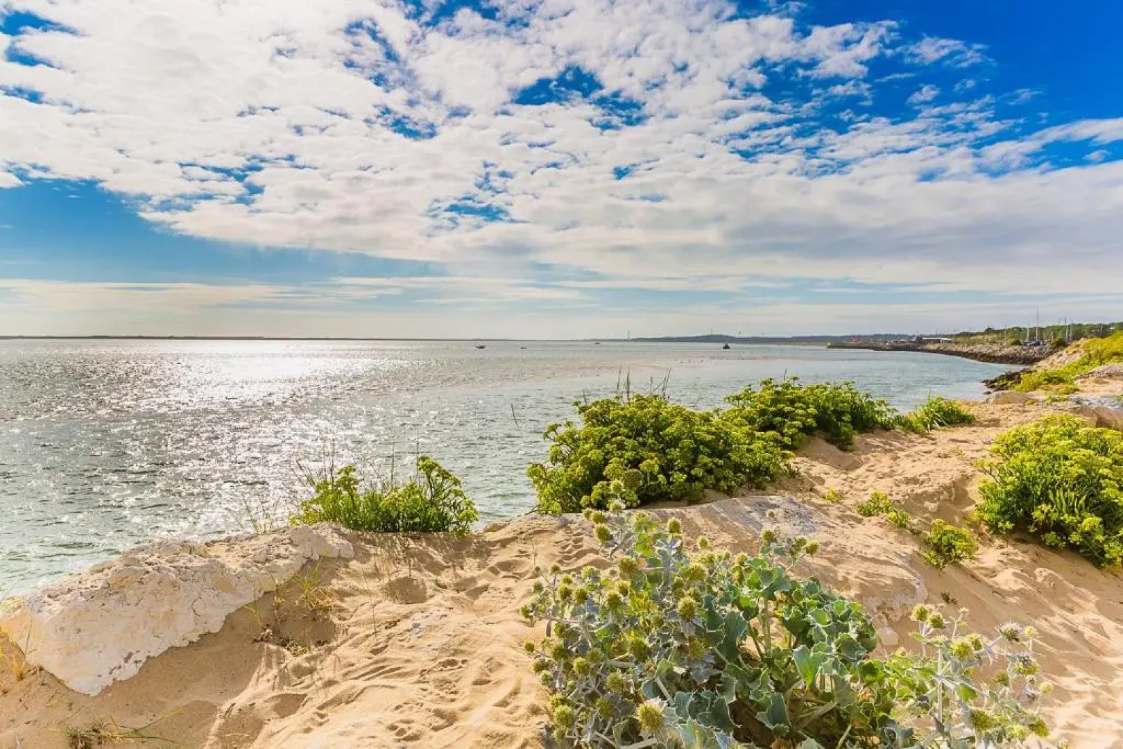 MOBIL HOME XXL2 - Palmyre Loisirs