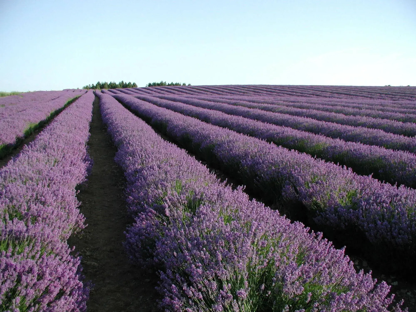 Three Ways House Hotel