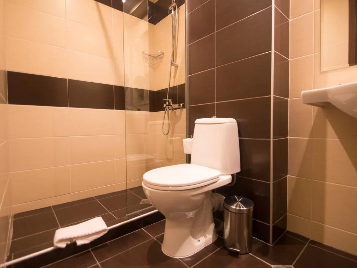 Park Hotel Asenevtsi