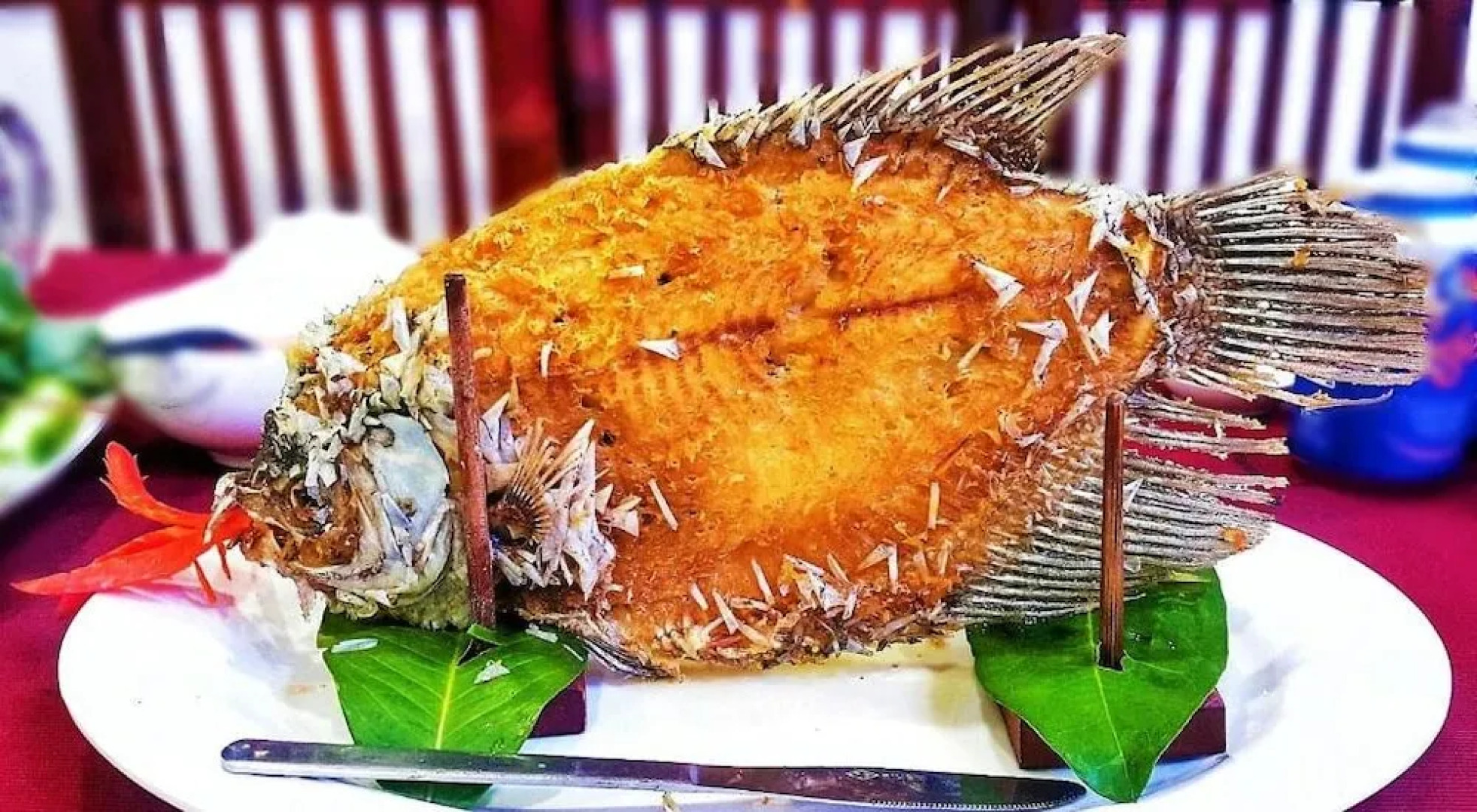 Riverside Park Eco Resort