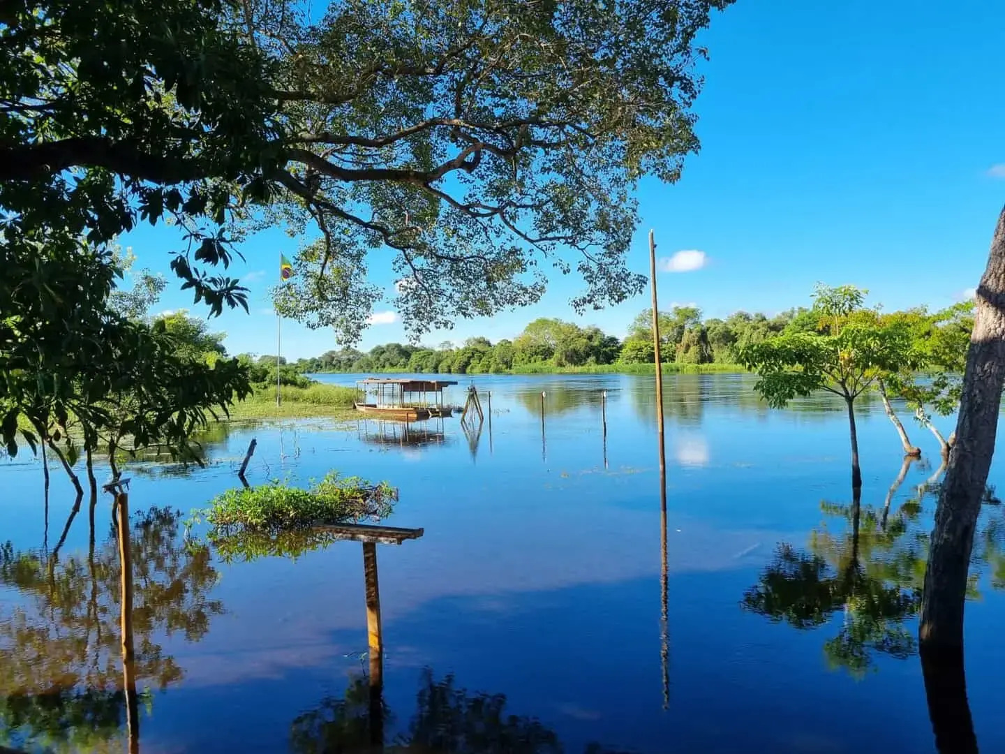 Pantanal Jungle Lodge