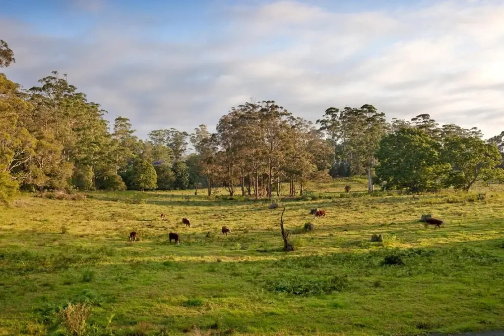 The Castle On Tamborine
