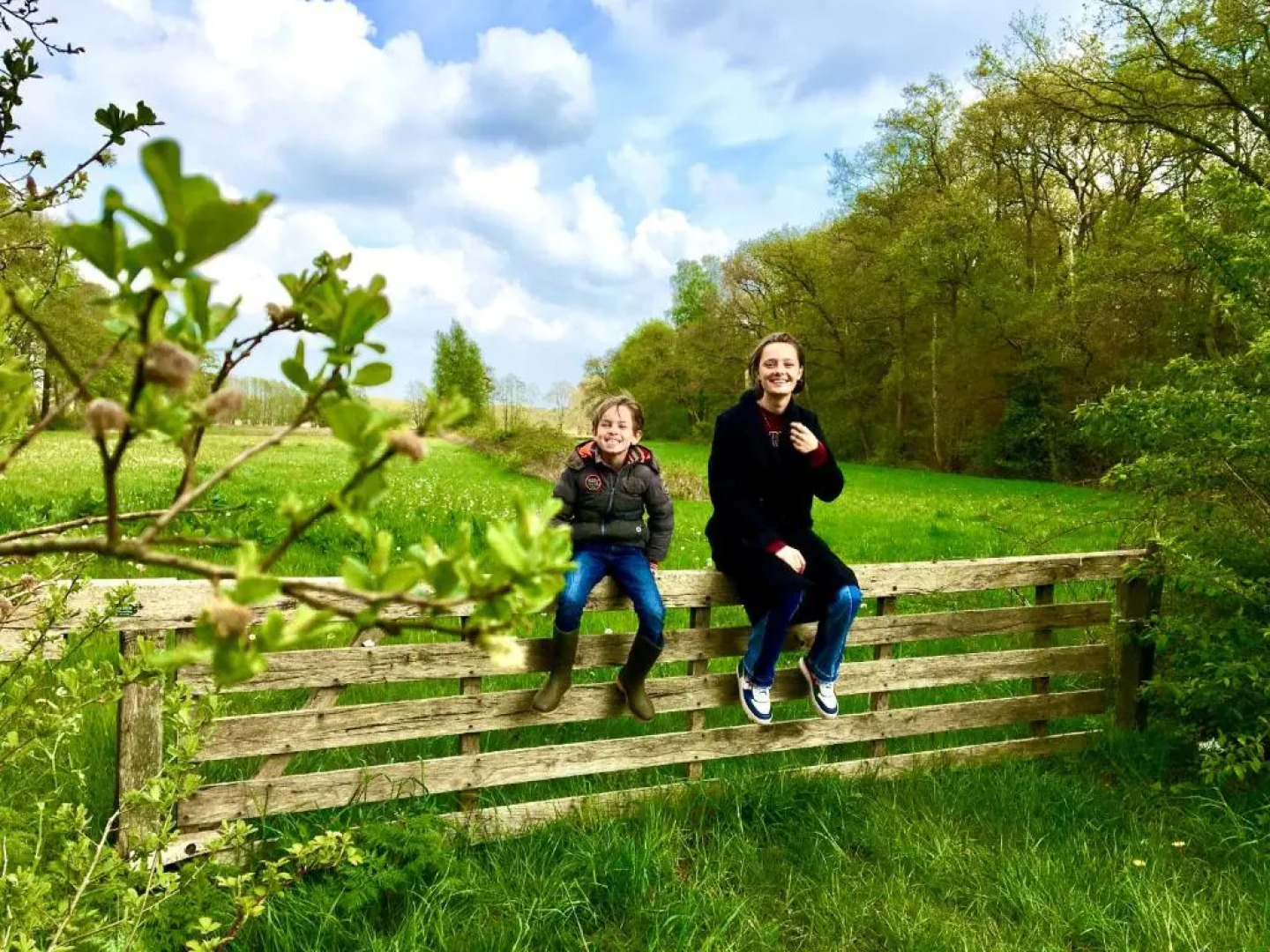 Holidaychalets Zuidlaren Tynaarlo