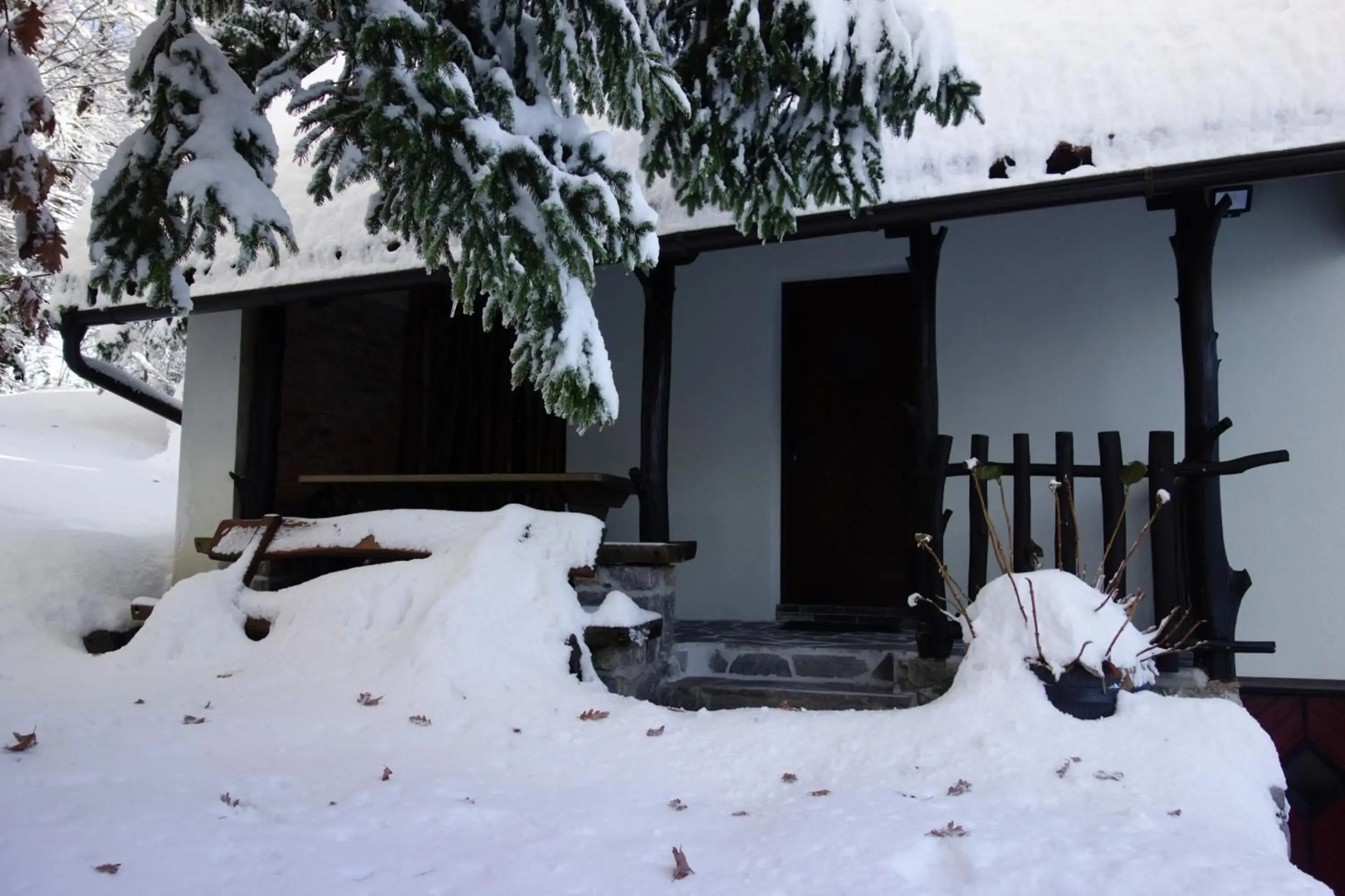 Sweet Stay Forest House