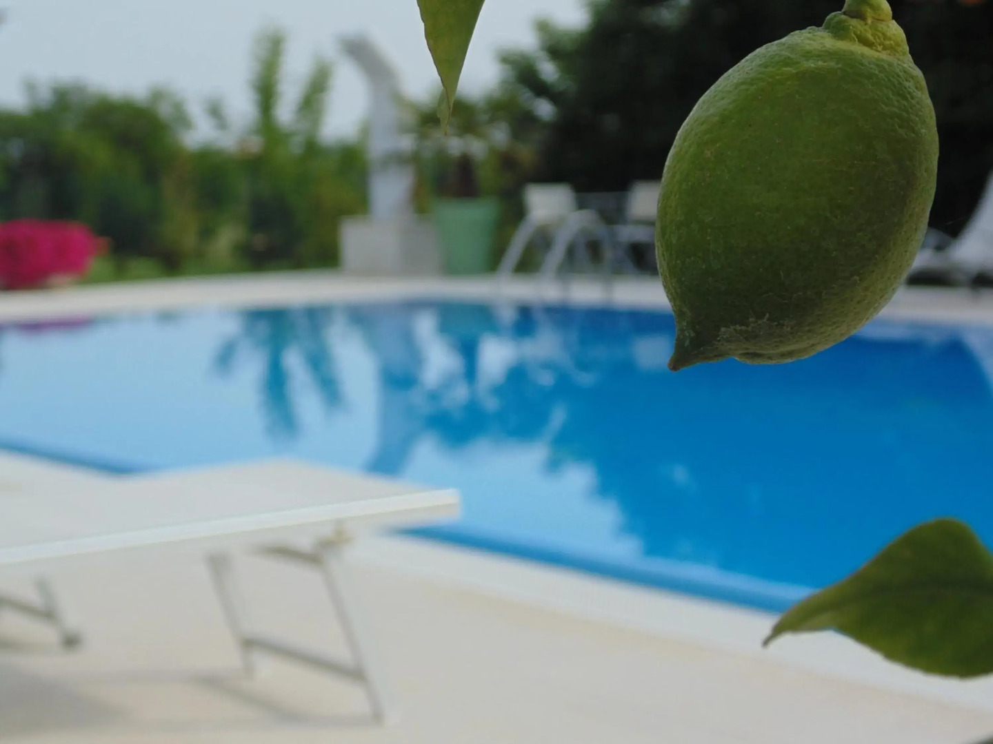 Agriturismo Dell'orto