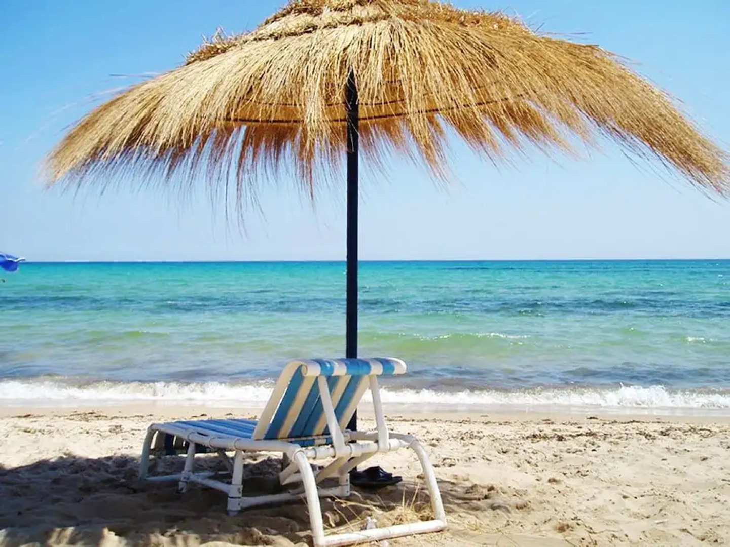 Apartment With one Bedroom in Nabeul, With Pool Access and Wifi - 50 m