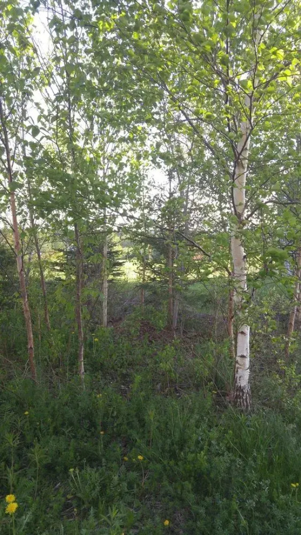 Windsbreath Celebrations and Retreats