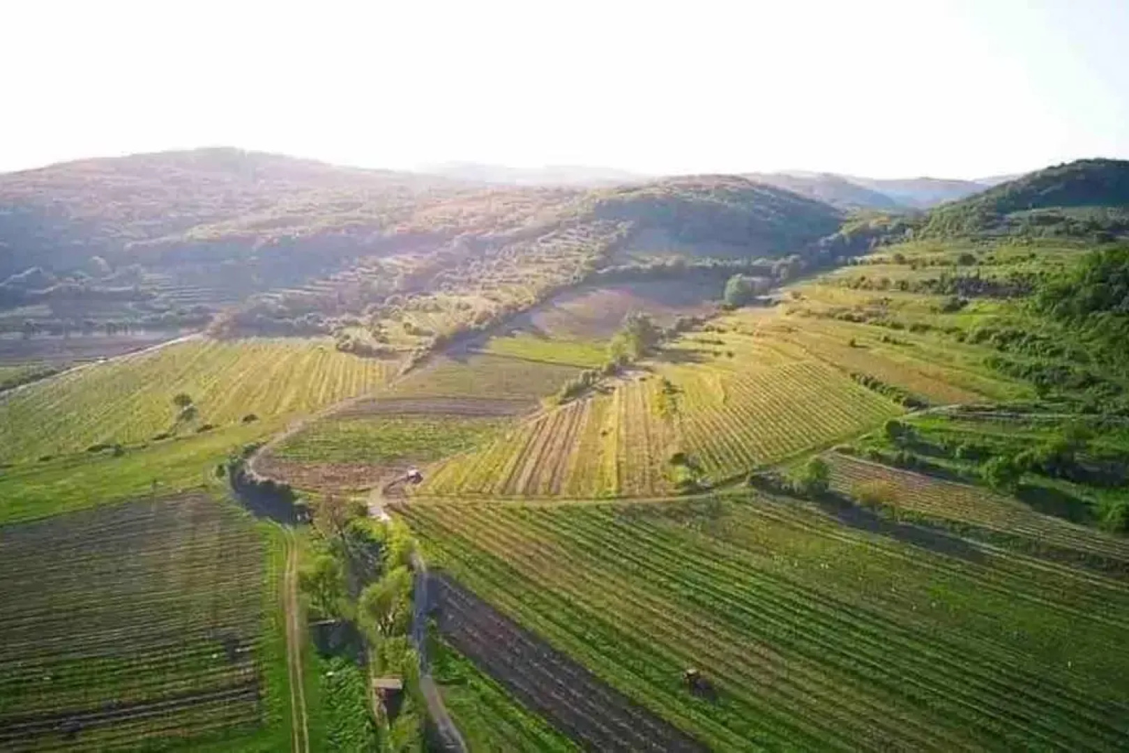 House in Pezinok with swimming pool, Bratislava