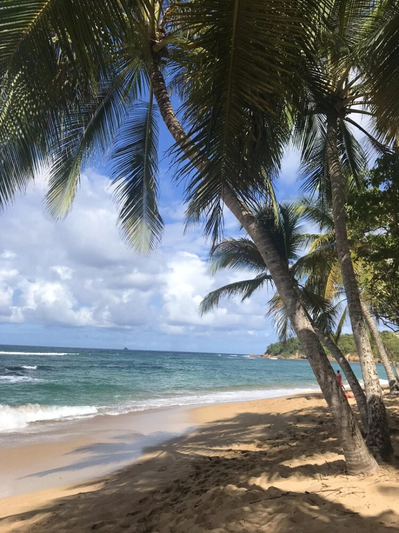 Studio In La Trinite With Wonderful Sea View And Wifi