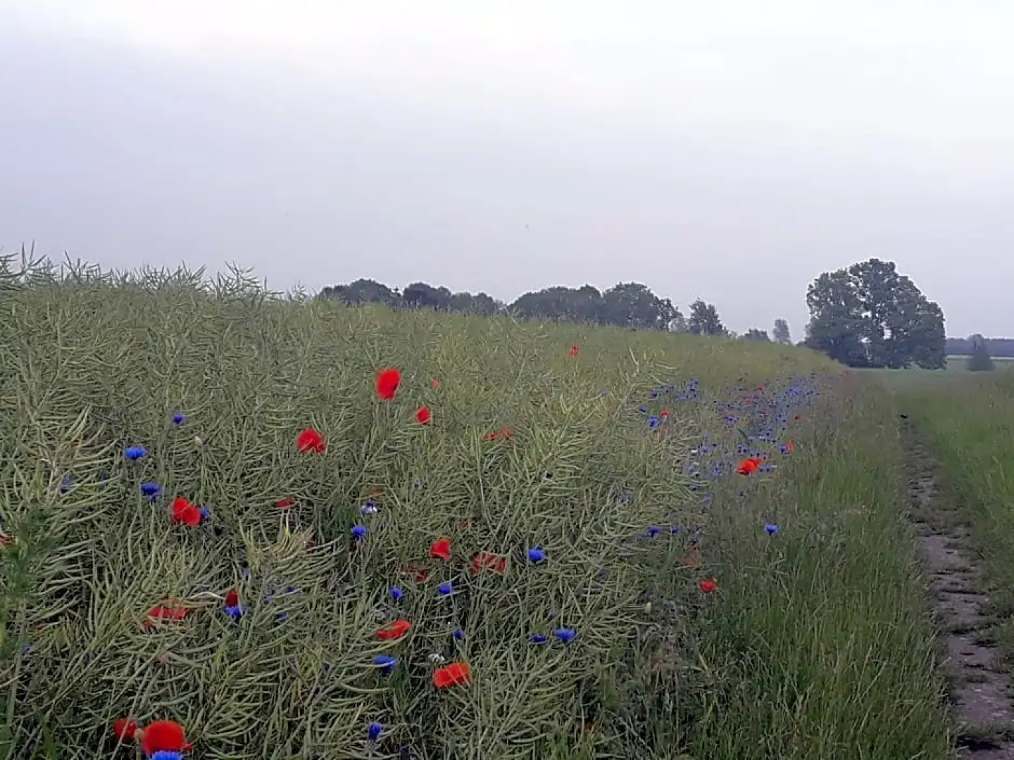 Cozy tiny room, mini kitchen and bathroom