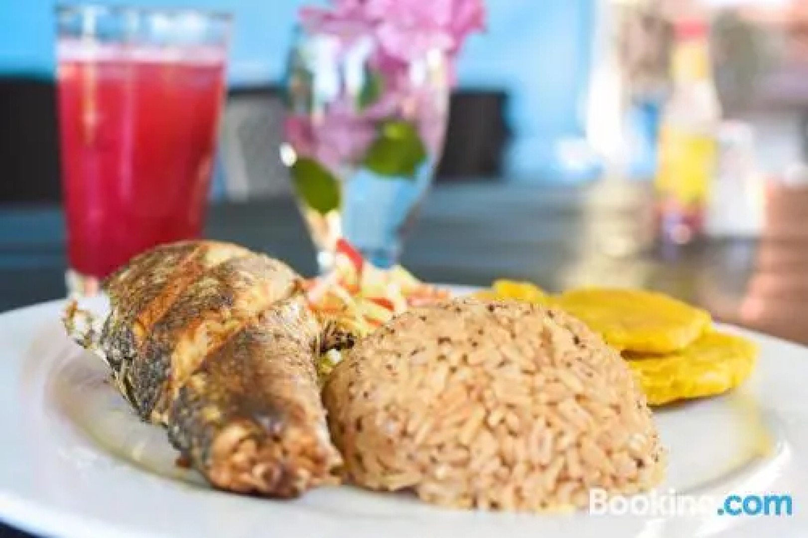 Ecohotel La Cocotera - Hostel