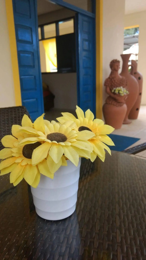 Pousada Flores do Mar