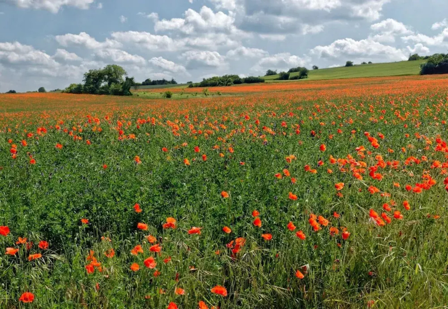 Cottage in Luberon Near Apt Market