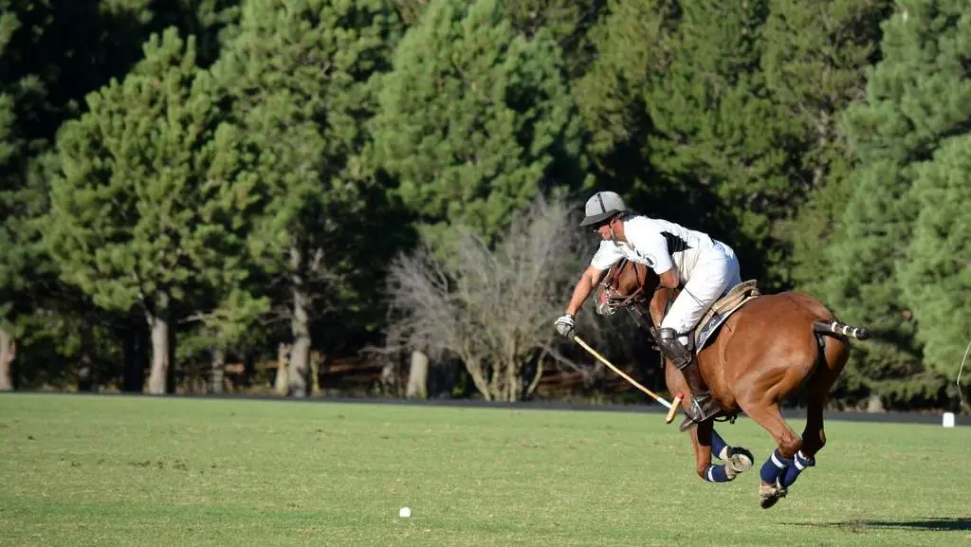 Golf y Polo Apartment