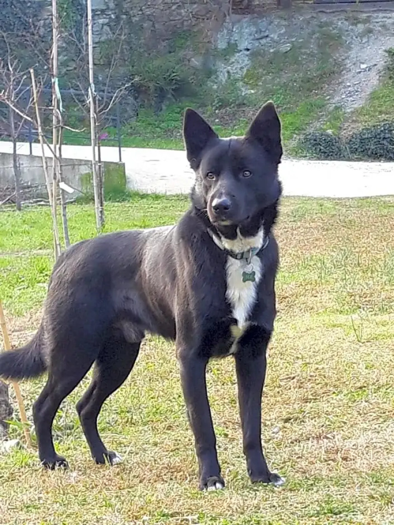 Ai Tre Archi Bed  Breakfast