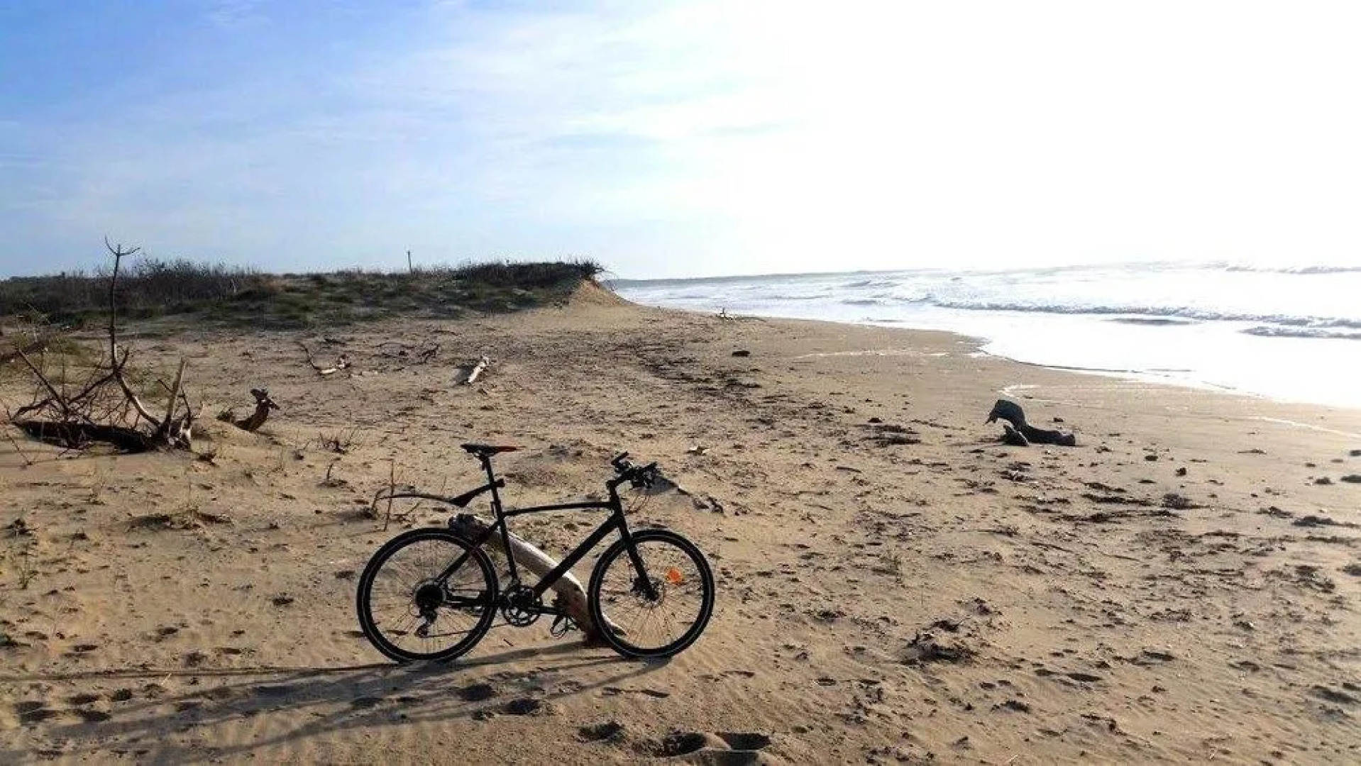 Les Jardins dAliénor