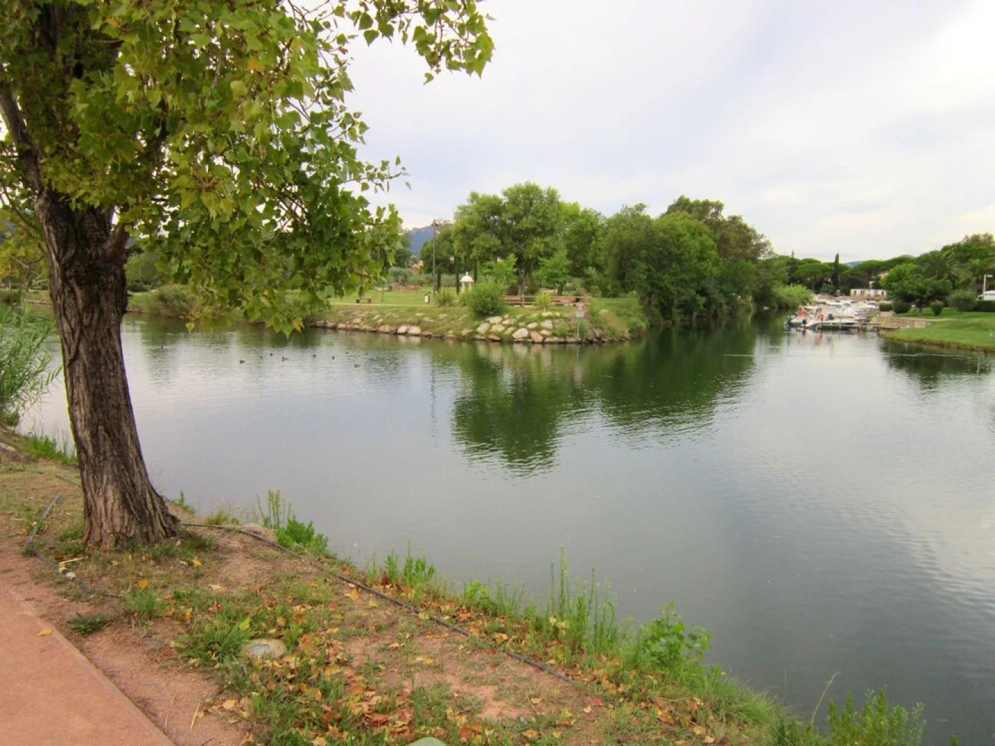 Apartment With one Bedroom in Mandelieu-la-napoule, With Private Pool,