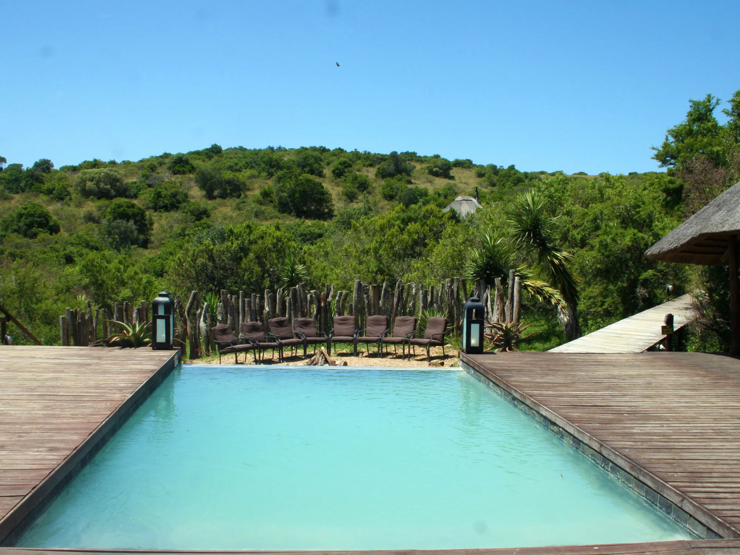 Bukela Game Lodge Amakhala Game Reserve