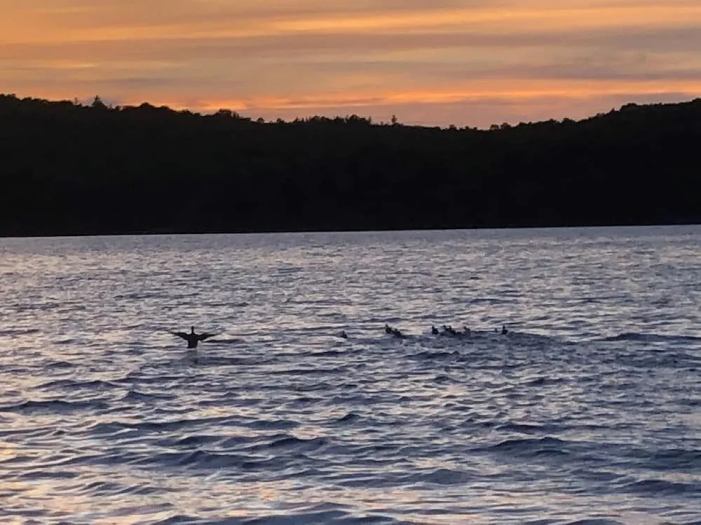 Active Lakeview Escape