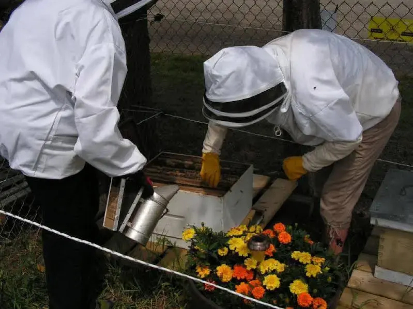 Bell Mountain Motel McBride