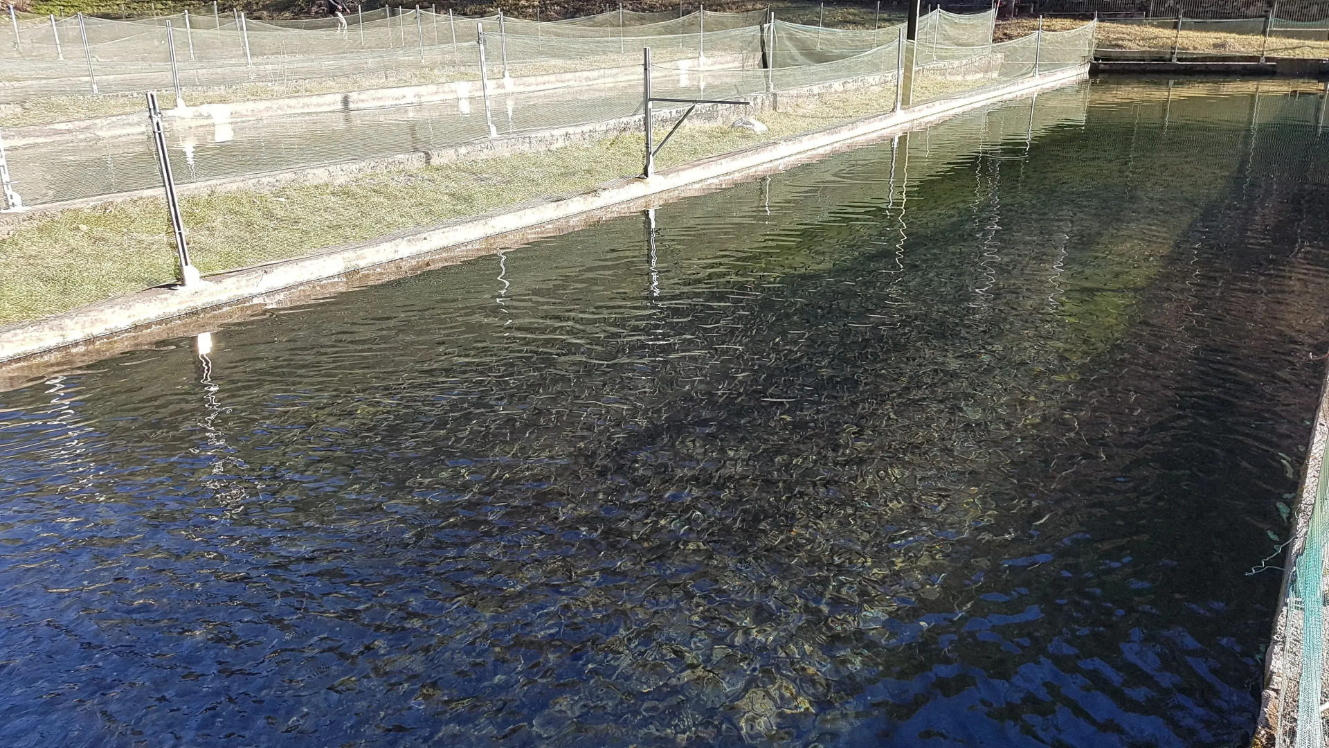 Agriturismo La Vecchia Chioderia