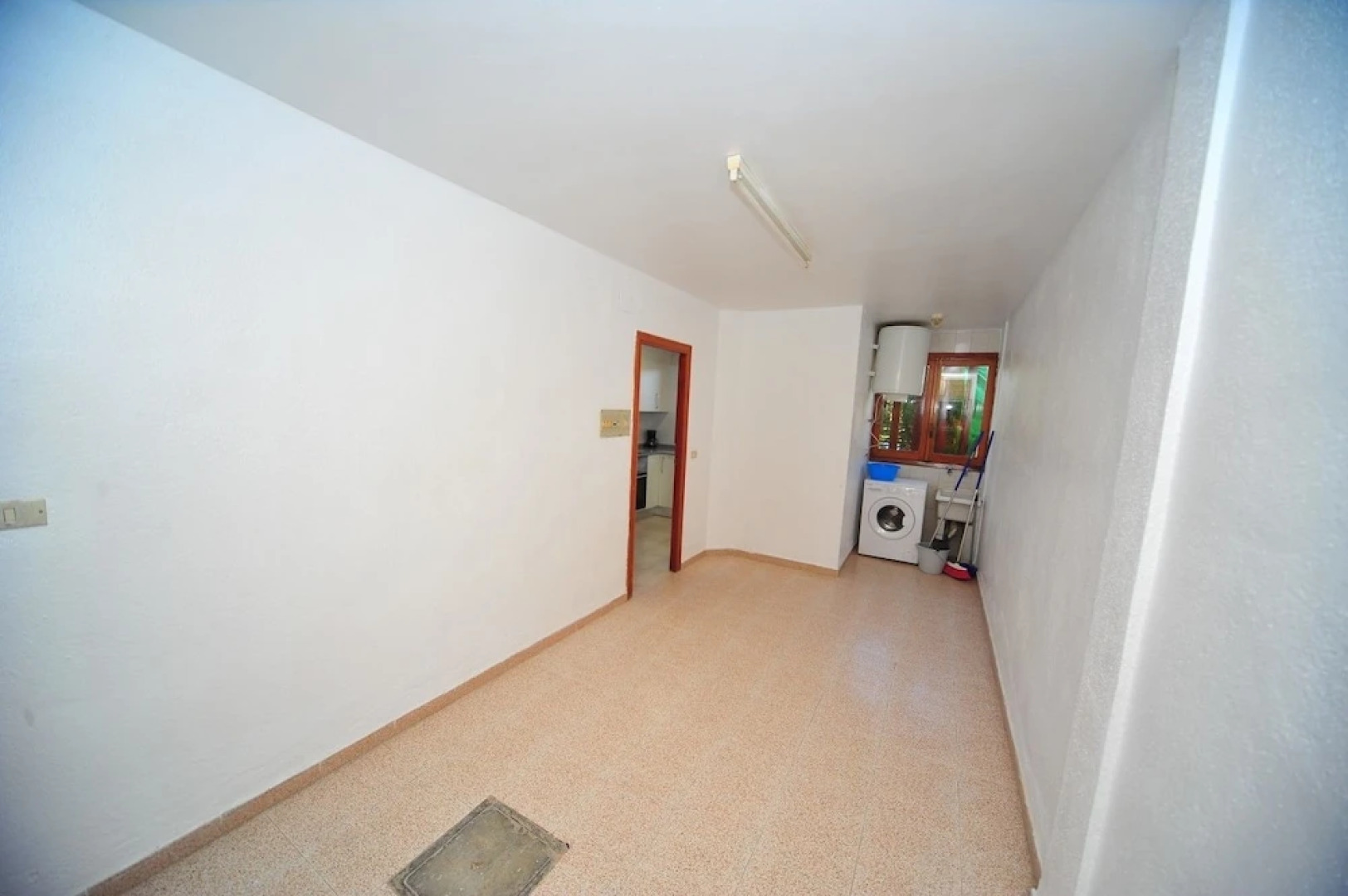 Costa Brasil Orange Costa