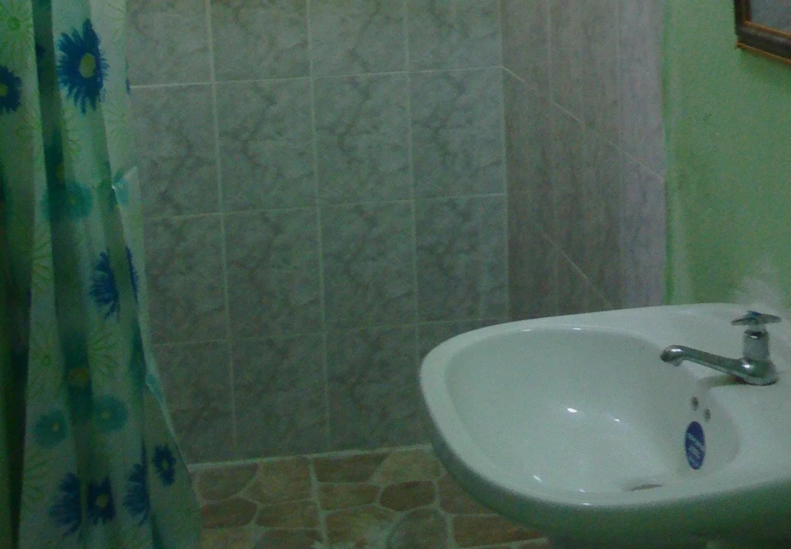 Lion's Pride - Hostel