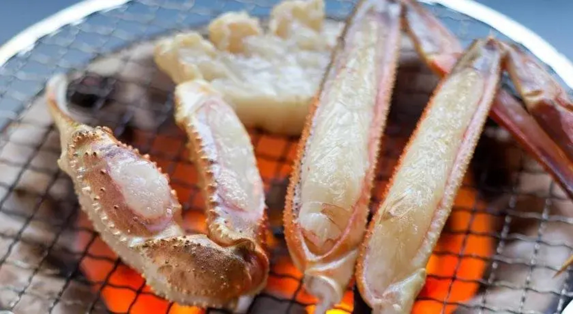 Saninyumura Onsen Kinokairori Kotobukiso