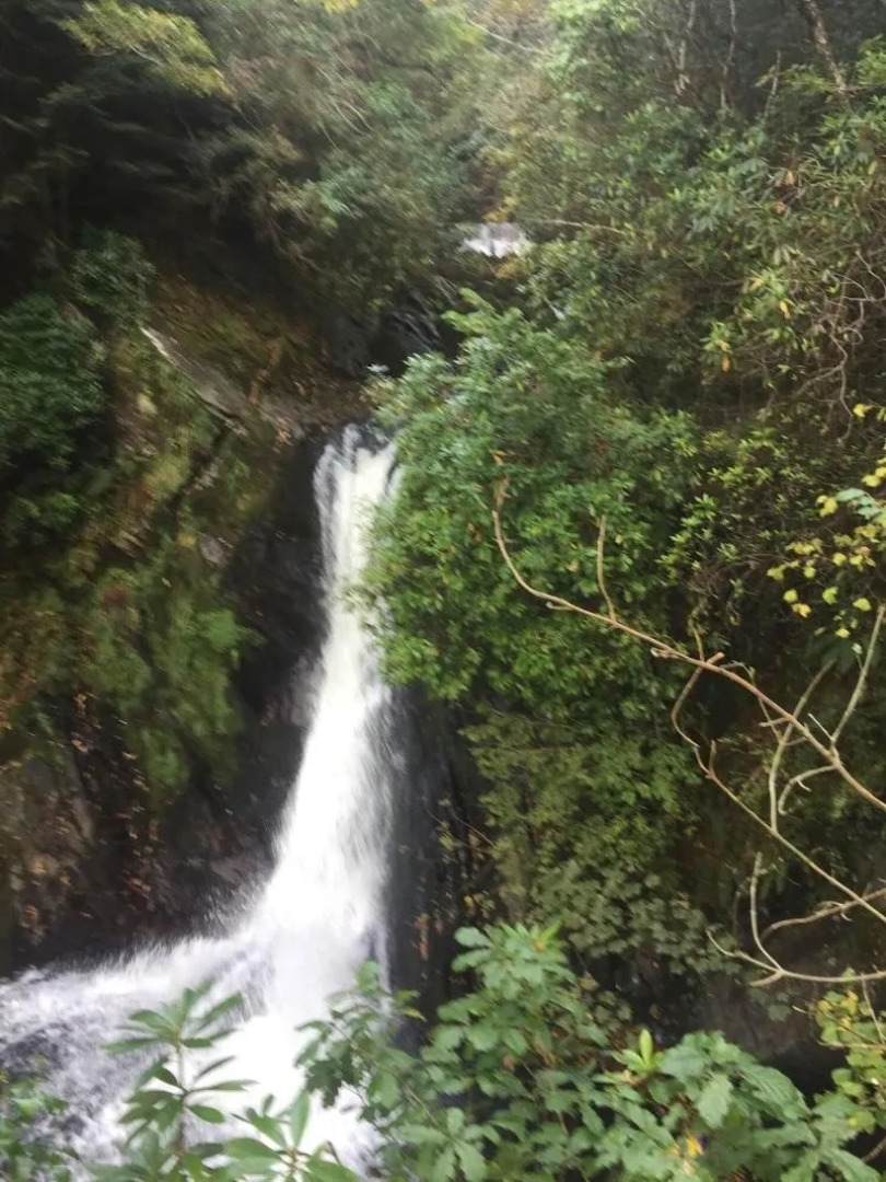 Bryn Derwen bed and breakfast