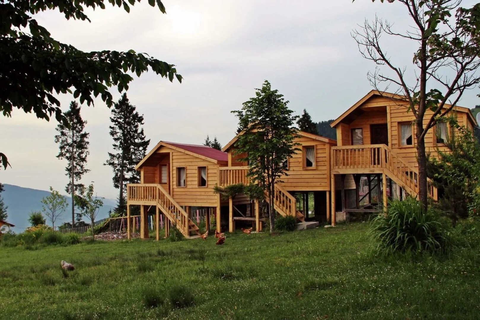 Pilav Dagi Yavuzyilmaz Tesisleri