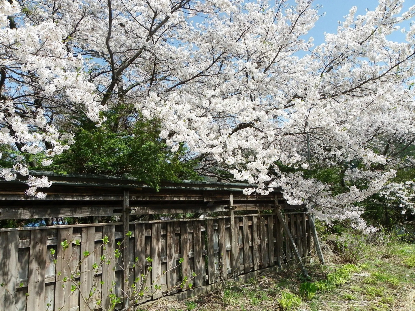 Hotel&Resort Yamanouchi Hills