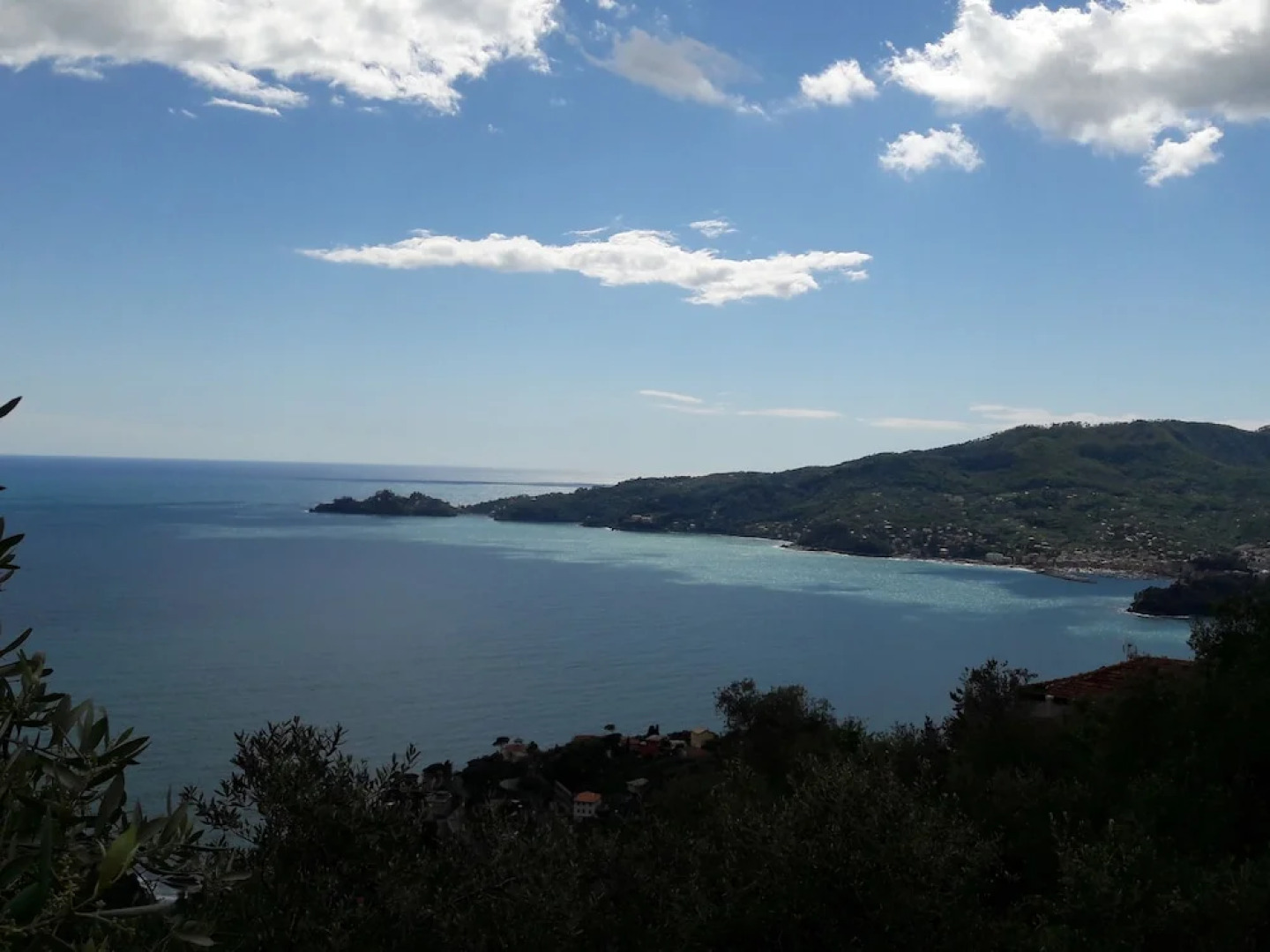 Ulivi Mare Portofino