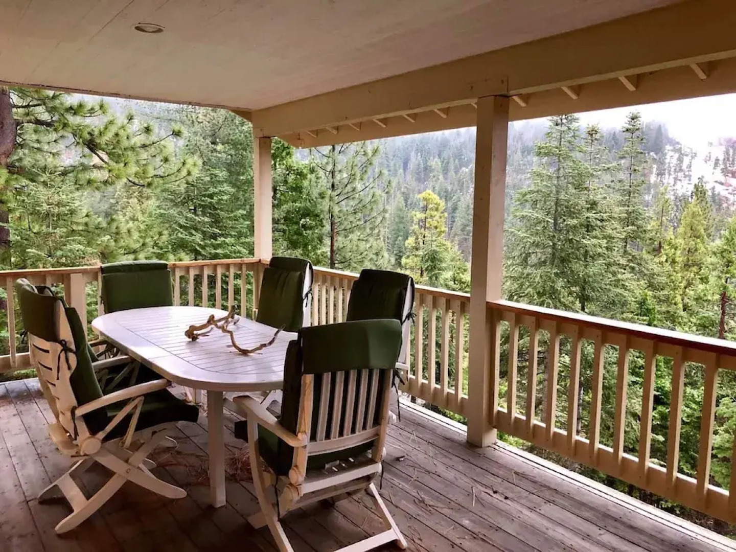 Cabin in the Pines - A