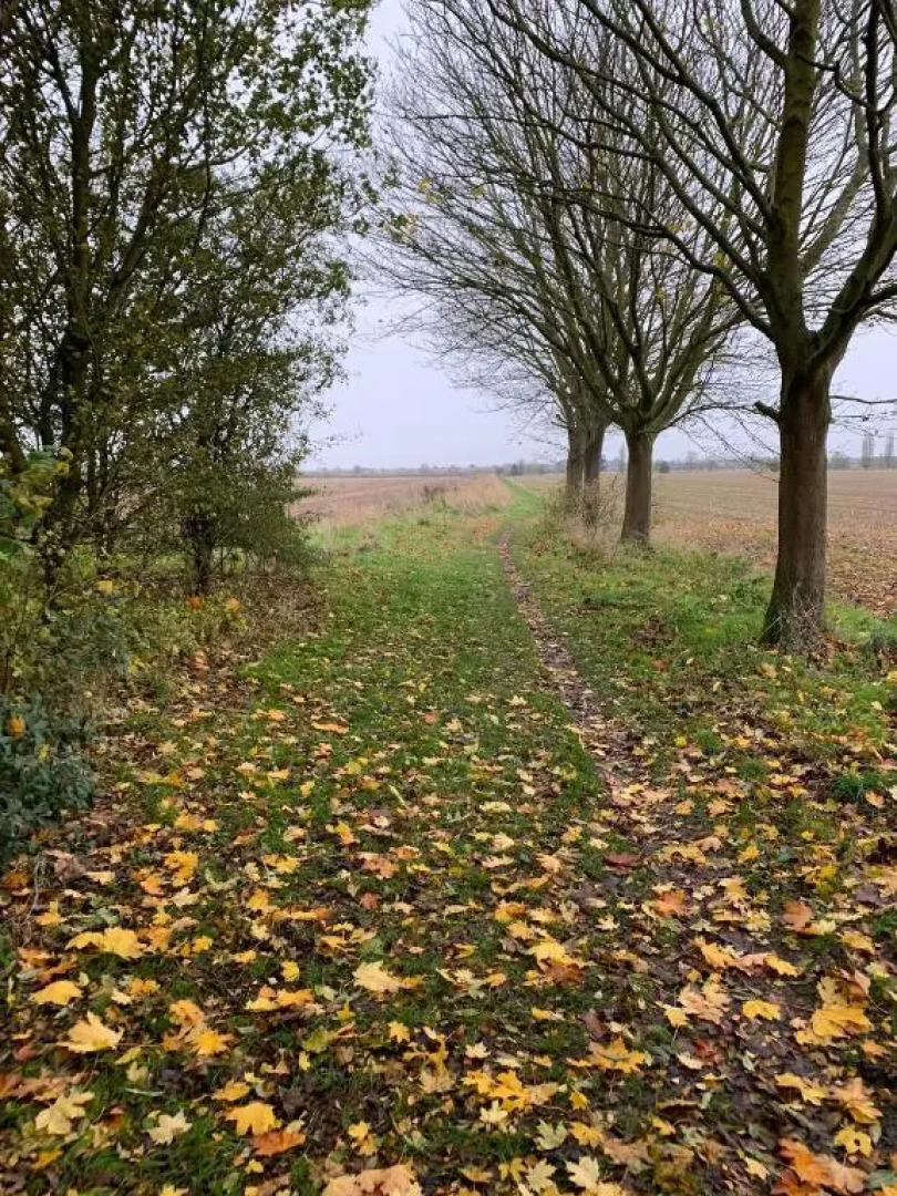 Ye Olde White Harte Hotel