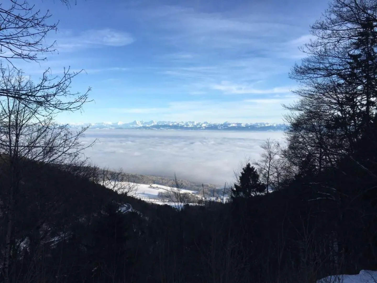 Hotel Restaurant Les Rives du Doubs