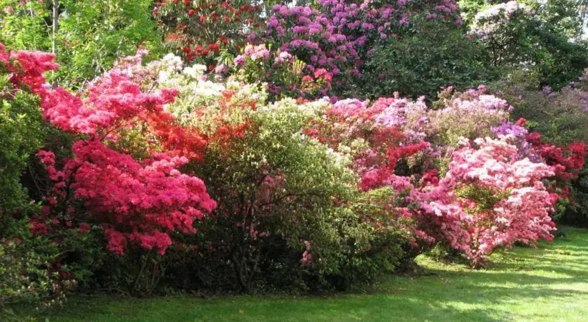 Vicolo Delle Monache