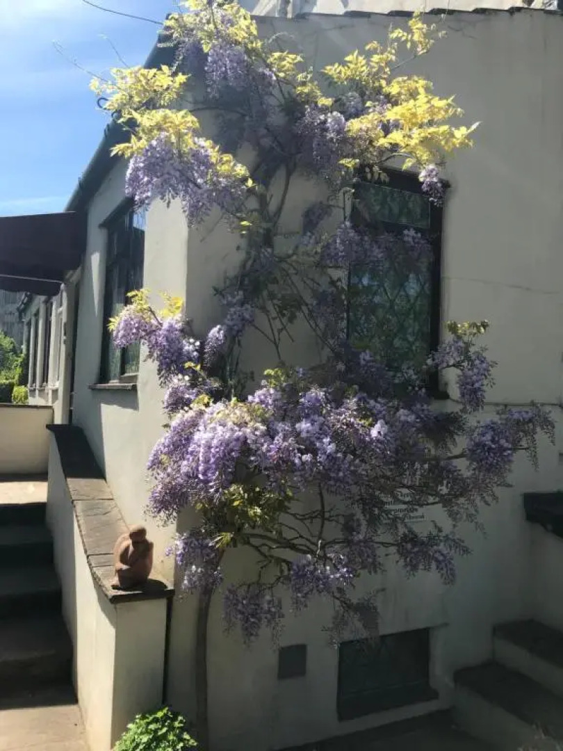 Manor Lodge Guesthouse