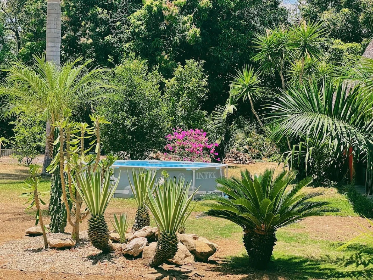 El Ranchito Surfcamp