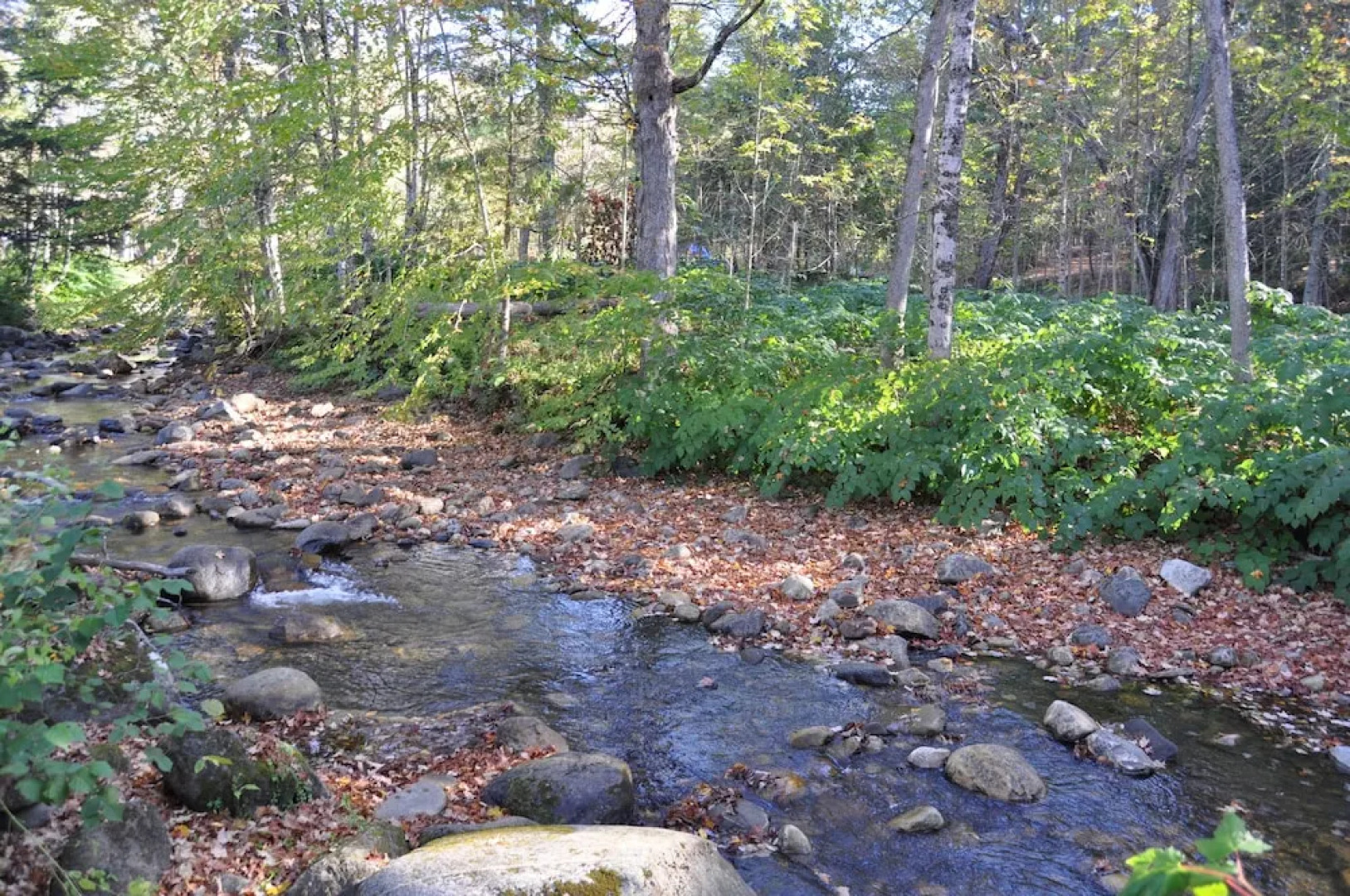 WilloBurke Boutique Inn & Nordic Spa