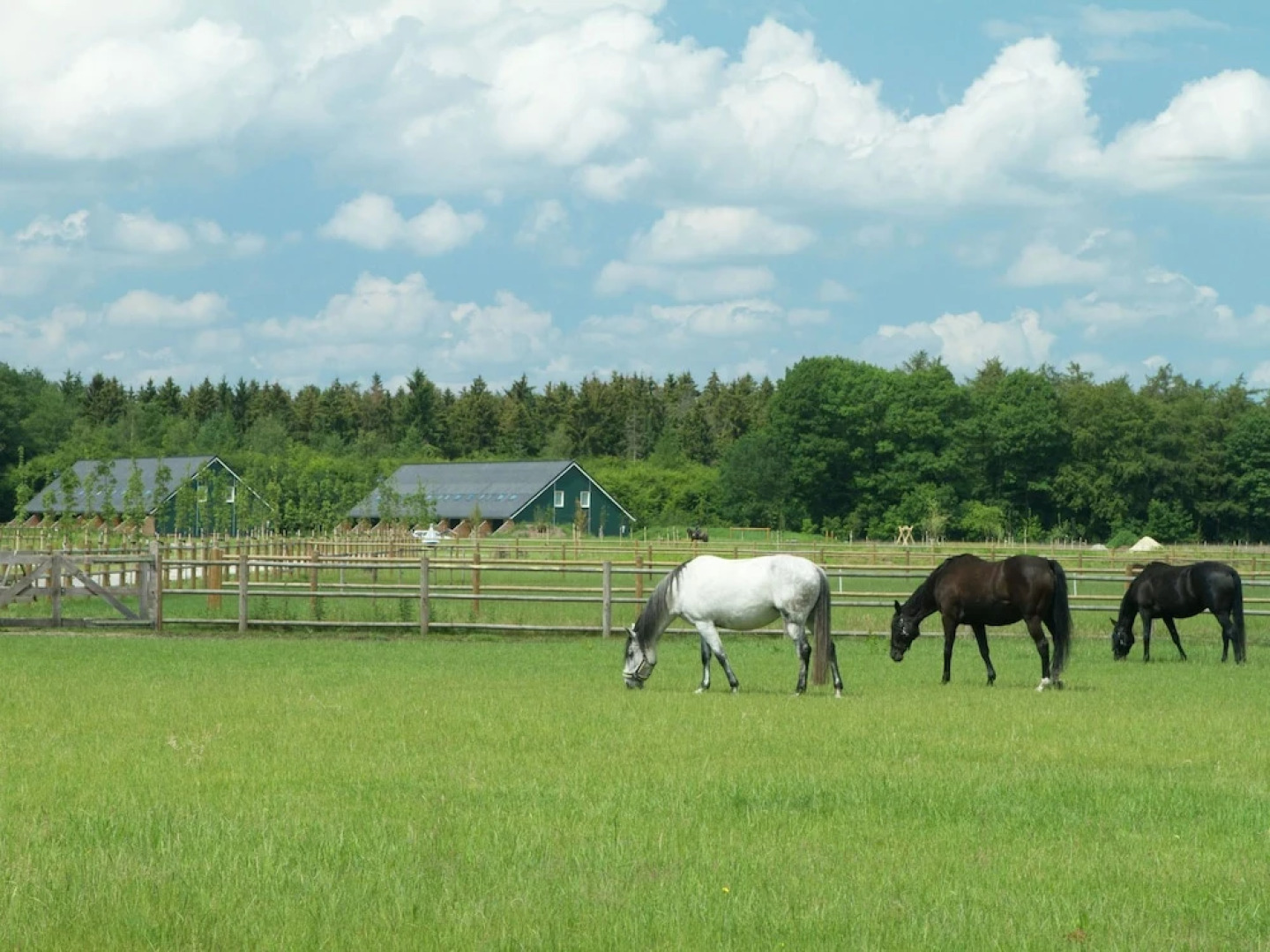 Semi-detached House With a Dishwasher, at 9 km van Slagharen